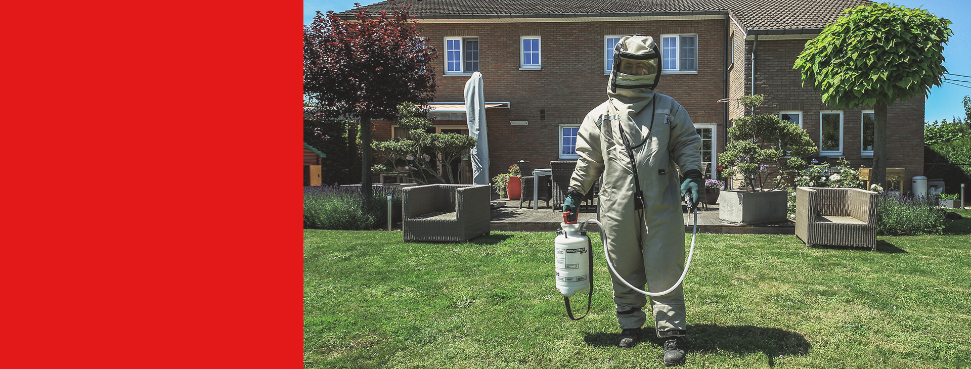 Désinsectisation | Nuisibles | Liège
